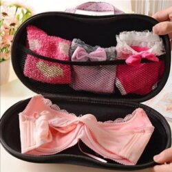 Storage Bag Clothes Underwear / Undergarment Bra Panties Organizer - Image 3