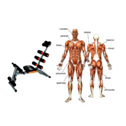 6 IN 1 Gym AB Six Pack Care Exercise Bike Fitness Bench Chair - Image 5