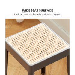 Mazus Nordic Rattan Chair PP Chair Plastic Chair - Image 3