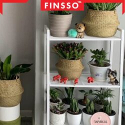 Shiro 5 Tier Multipurpose Shelf / rak rerbaguna / rak resi bertingkat / Shelves / bookshelf / rak buku/ rak pasu - Image 7