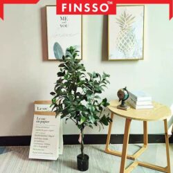 New Arrival DOUBAN PREMIUM Plant Hiasan Viral Pokok home decor - Image 4