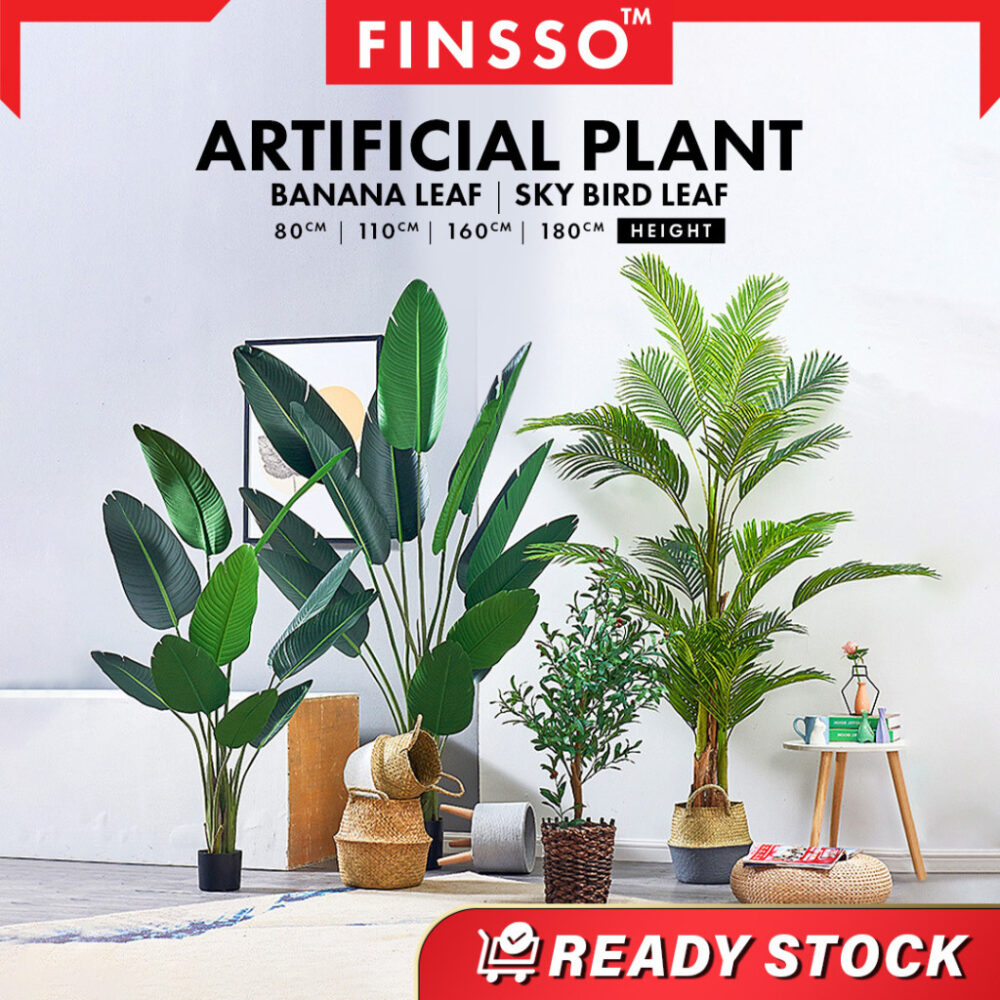 New Arrival DOUBAN PREMIUM Plant Hiasan Viral Pokok home decor - Image 8
